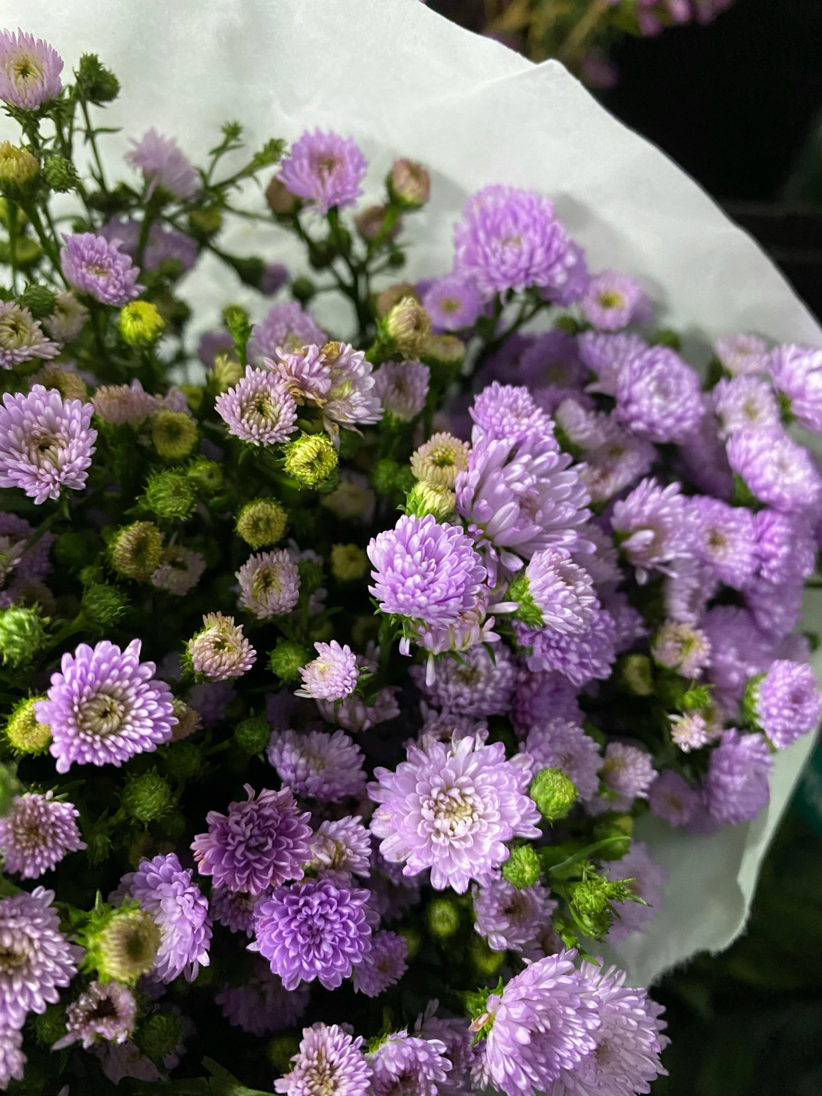 a bunch of purple flowers sitting on top of a table, a picture, up-close, full product shot, ((purple)), paper chrysanthemums