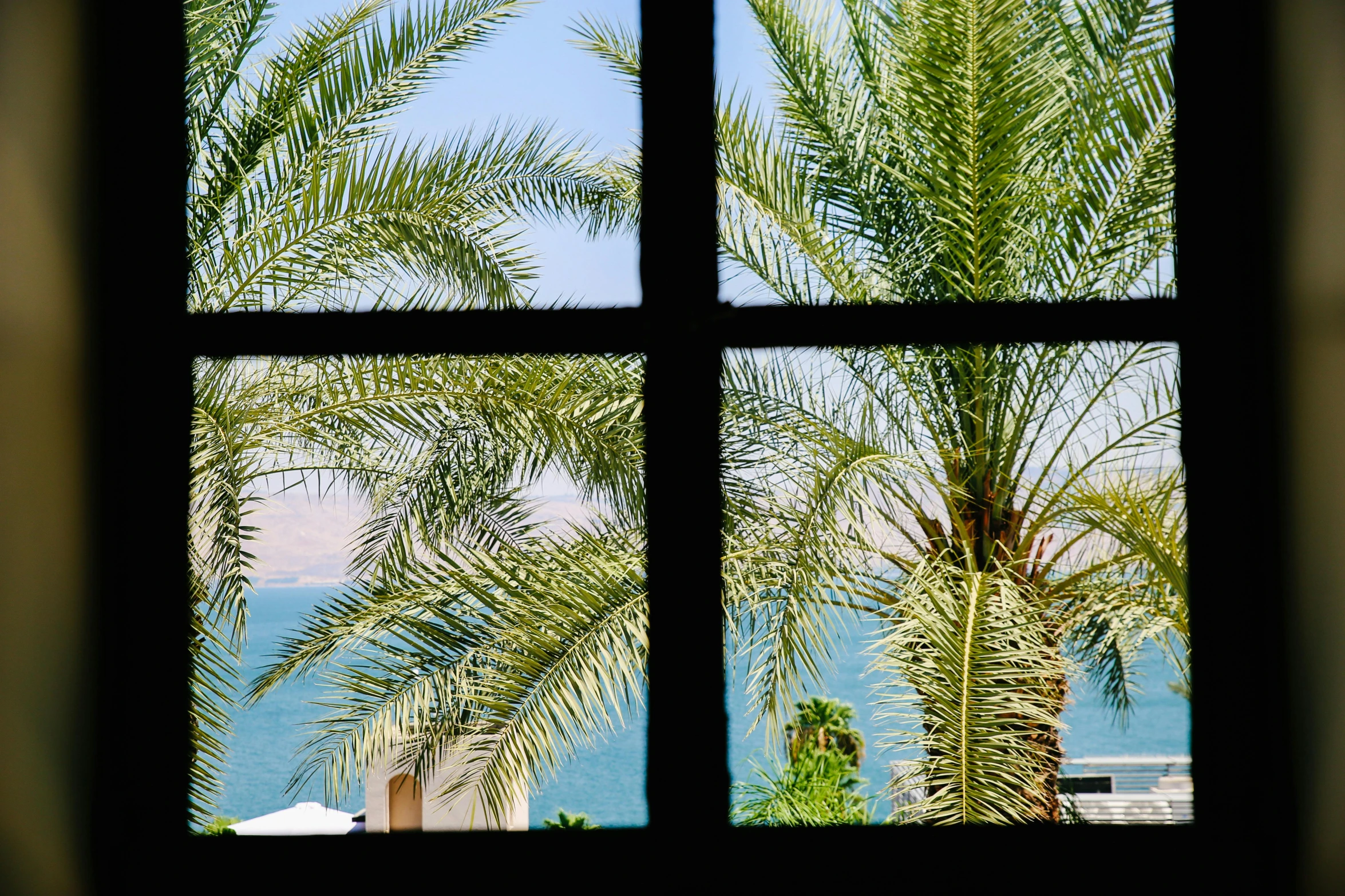 a view of the ocean through a window, dau-al-set, palm trees outside the windows, the dead sea, vibrant greenery outside, conde nast traveler photo