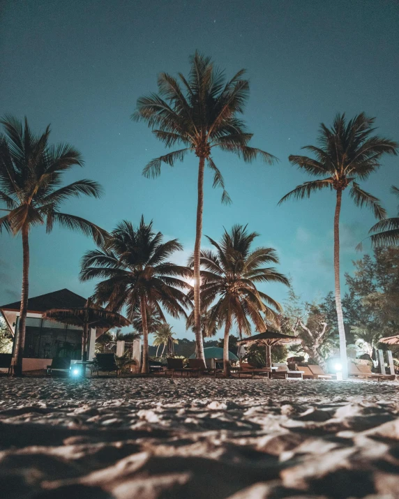 a car parked on a beach next to palm trees, by Adam Rex, unsplash contest winner, happening, lamps on ground, ☁🌪🌙👩🏾, city lights made of lush trees, dancing on a tropical beach