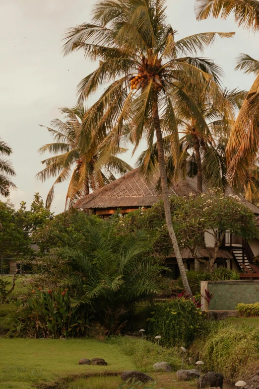 a house sitting on top of a lush green field, palm trees on the beach, exterior botanical garden, sunset, indonesia