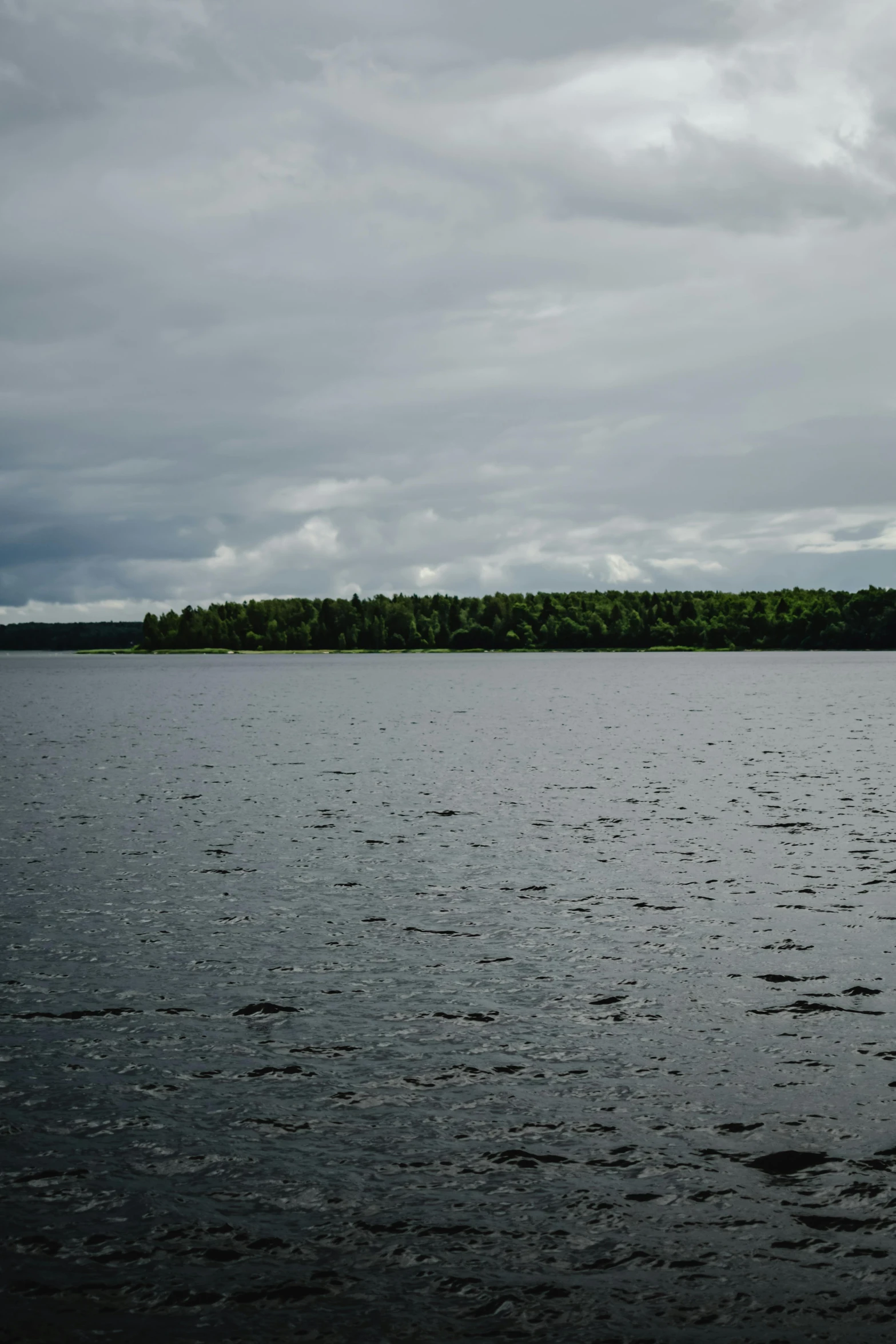 a large body of water with a forest in the background, hurufiyya, tarmo juhola, grey sky, islands!!!!!, taken with sony alpha 9