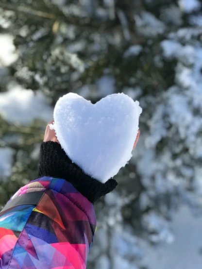 a person holding a heart shaped object in the snow, profile image, photograph, tie-dye, environmental shot