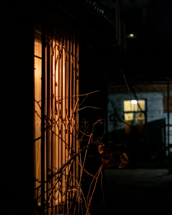 a fire hydrant sitting next to a building at night, a portrait, inspired by Elsa Bleda, pexels contest winner, wires hanging across windows, photo of scp-173, natural prison light, back alley