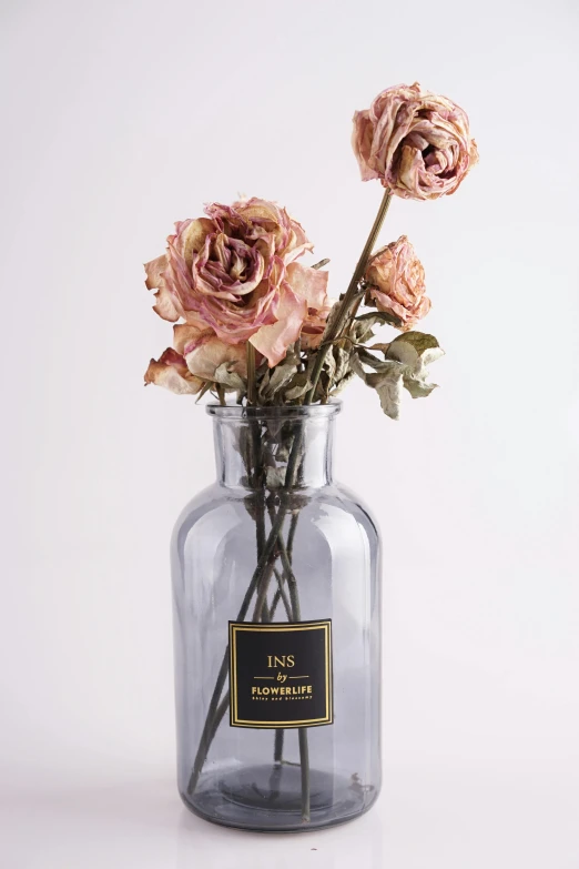 a close up of a vase with flowers in it, full product shot, glass bottle, large rose flower head, f / 2 0