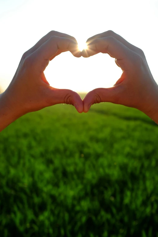 a person making a heart shape with their hands, in a large grassy green field, sun overhead, hearts, say
