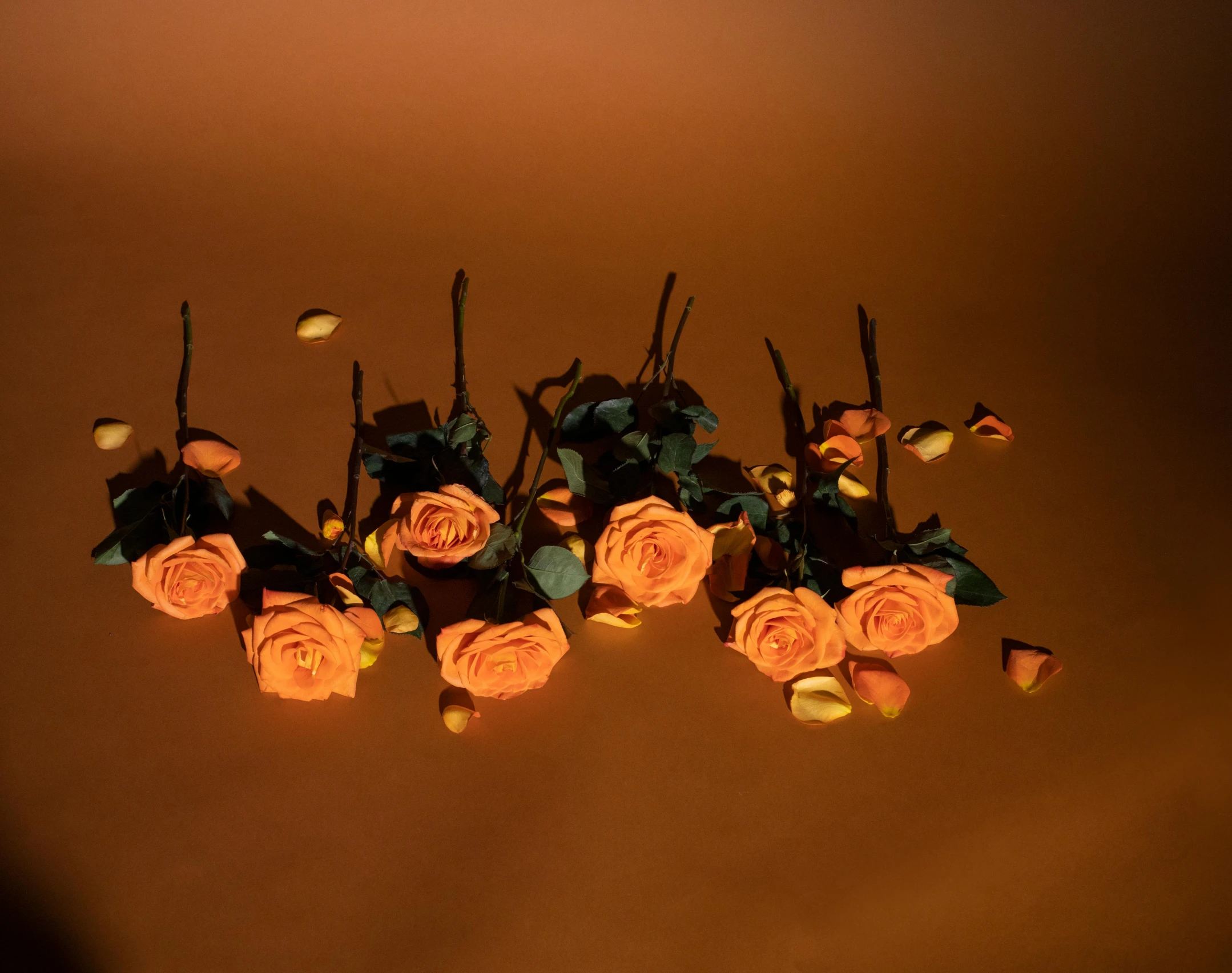 a bunch of flowers sitting on top of a table, an album cover, inspired by Elsa Bleda, unsplash, fantastic realism, dark orange night sky, many origami roses, 3 d render 8 k shoot, pale orange colors