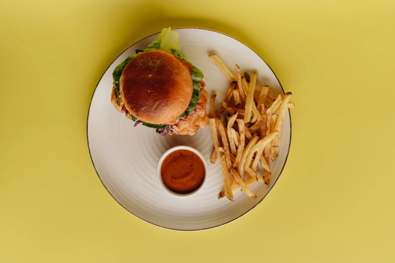 a white plate topped with a sandwich and french fries, unsplash, chicken, detailed product image, 3/4 front view, sassy pose