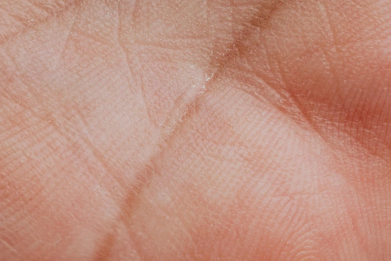 a close up of a person's hand holding a toothbrush, a stipple, trending on pexels, hyperrealism, baked bean skin texture, facial scar, highly detailed textured 8k, open palm