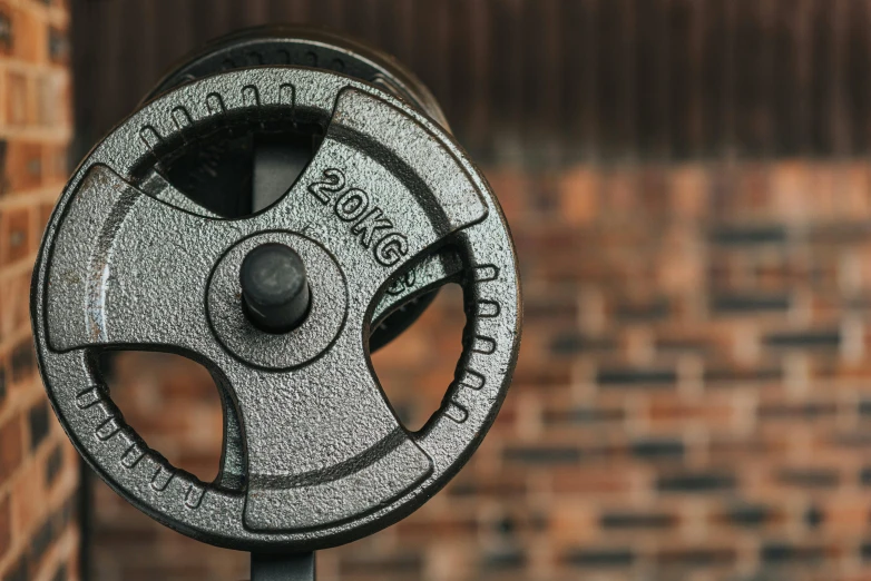 a close up of a fire hydrant near a brick wall, by Adam Marczyński, pexels contest winner, carrying two barbells, single steering wheel, made from mechanical parts, in a gym