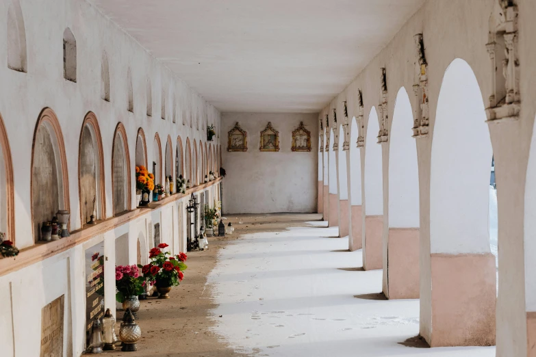 a long hallway lined with vases filled with flowers, by Julia Pishtar, unsplash contest winner, inside the sepulchre, white building, valle dei templi, tibetan inspired architecture