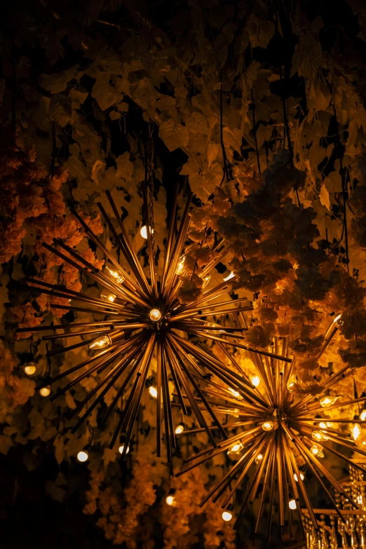 a bunch of lights hanging from a ceiling, an album cover, inspired by Bruce Munro, unsplash, gold flaked flowers, detail shot, embers, cave lighting