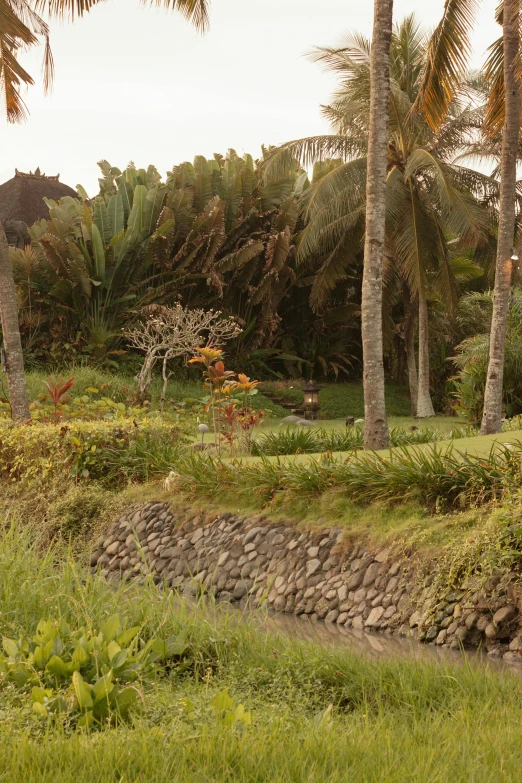 a man riding a horse through a lush green field, by Daren Bader, land art, coconut palms, koi pond, bali, panorama