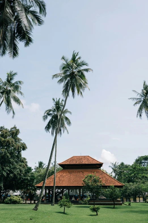 a gazebo sitting on top of a lush green field, by Tobias Stimmer, sumatraism, palm trees outside the windows, jakarta, roofed forest, red building