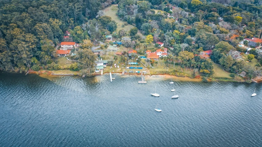 a large body of water surrounded by trees, a tilt shift photo, waterfront houses, bored ape yacht club, drone photograph, straya