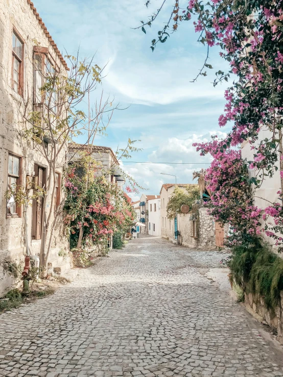 a cobblestone street in a small town, pexels contest winner, greek fantasy landscape, wrapped in cables and flowers, 💋 💄 👠 👗, a wide open courtyard in an epic