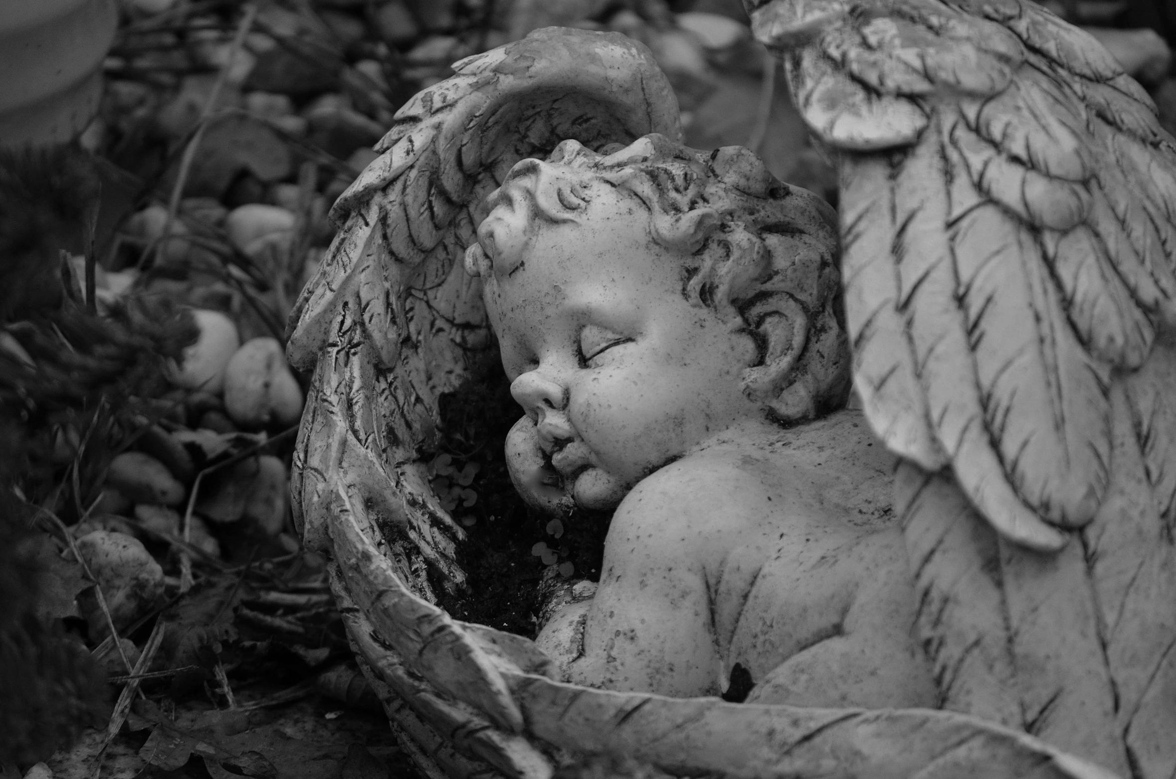 a statue of an angel sleeping in a basket, a statue, inspired by Correggio, pixabay contest winner, bw photo, closeup of an adorable, fetus, bashful expression