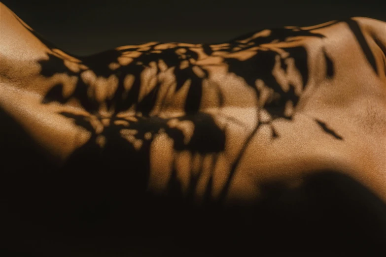 a close up of a person's back with flowers on it, a cave painting, inspired by Elsa Bleda, pexels contest winner, figurative art, big shadows, beds of shadows, golden dappled dynamic lighting, sensual bodies