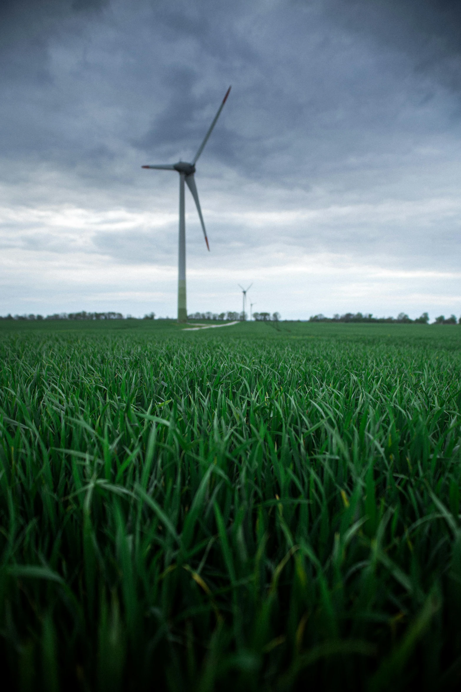 a wind turbine sitting on top of a lush green field, a picture, by Matthias Stom, cinematic shot ar 9:16 -n 6 -g, humid ground, greens)