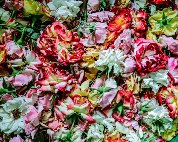 a close up of a bunch of flowers, inspired by Jacopo Bassano, pexels, pile of bodies, smeared flowers, midsommar style, rose twining