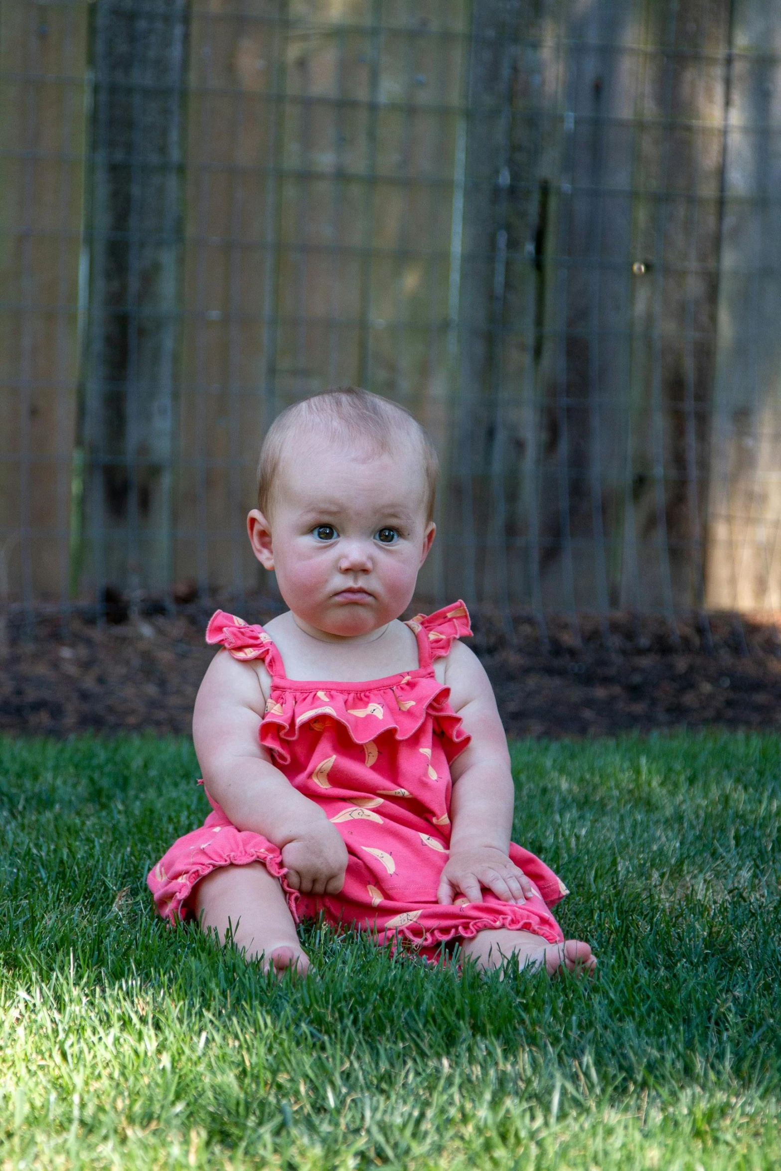 a baby girl in a pink dress sitting in the grass, pixabay contest winner, angry looking at camera, in a suburban backyard, taken with canon 5d mk4, low lighting