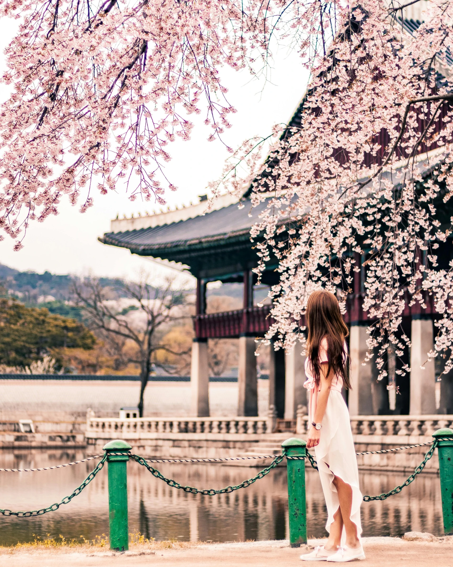 a little girl that is standing under a tree, the grand temple of flowers, taejune kim, leading to a beautiful, posing