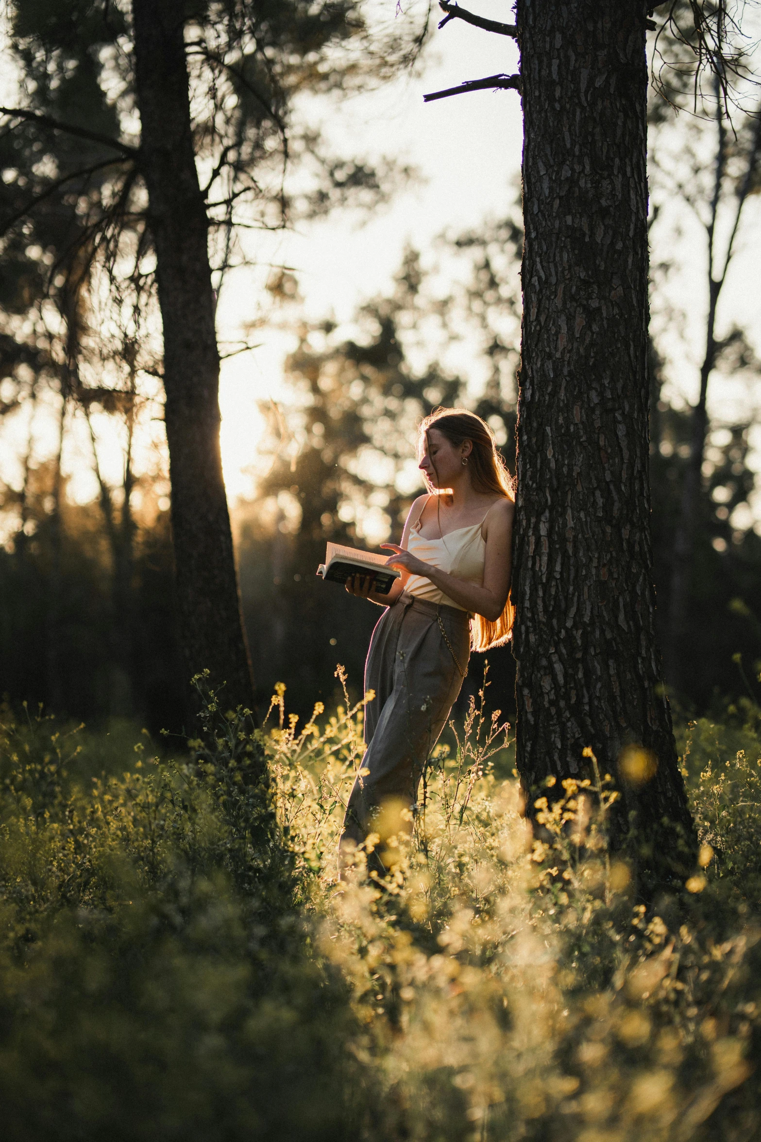 a woman reading a book in the woods, a portrait, by Niko Henrichon, pexels contest winner, standing in the grass at sunset, under the soft shadow of a tree, medium format. soft light, musician