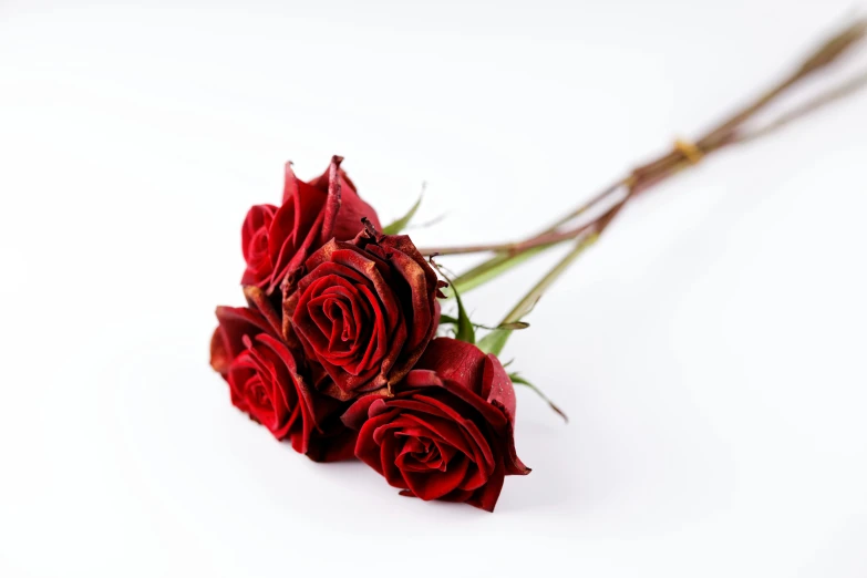 a bunch of red roses sitting on top of a white surface, well preserved, 3 heads, high quality product image”, mixed art