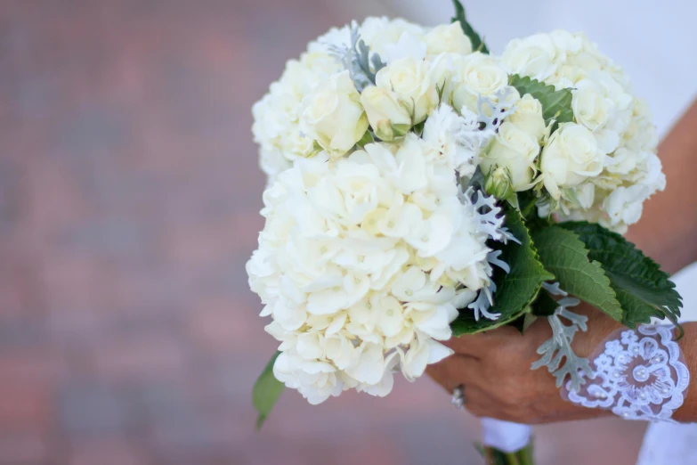 a bride holding a bouquet of white flowers, by Washington Allston, unsplash, white and silver, hydrangea, holiday season, very handsome