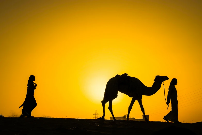 a couple of people that are walking with a camel, inspired by Steve McCurry, pexels contest winner, warm golden backlit, today\'s featured photograph 4k, siluettes, orientalist