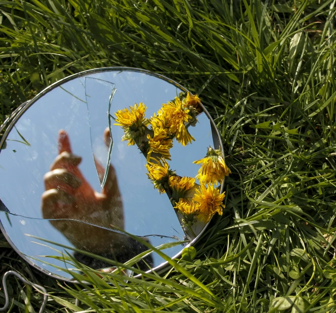 a person taking a picture of themselves in a mirror, an album cover, by Jan Rustem, unsplash, land art, grass and flowers, hand, person made out of glass, in the sun