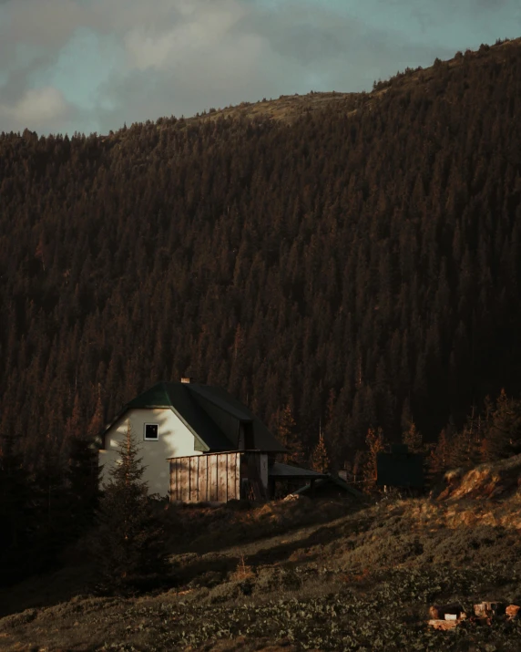 a white house sitting on top of a lush green hillside, by Johannes Voss, pexels contest winner, warm moody lighting, old cabin, 🌲🌌, medium format. soft light