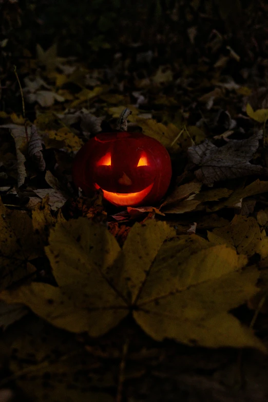 a jack o lantern sitting on the ground surrounded by leaves, pexels contest winner, glowing mouth, paul barson, slide show, 2010s