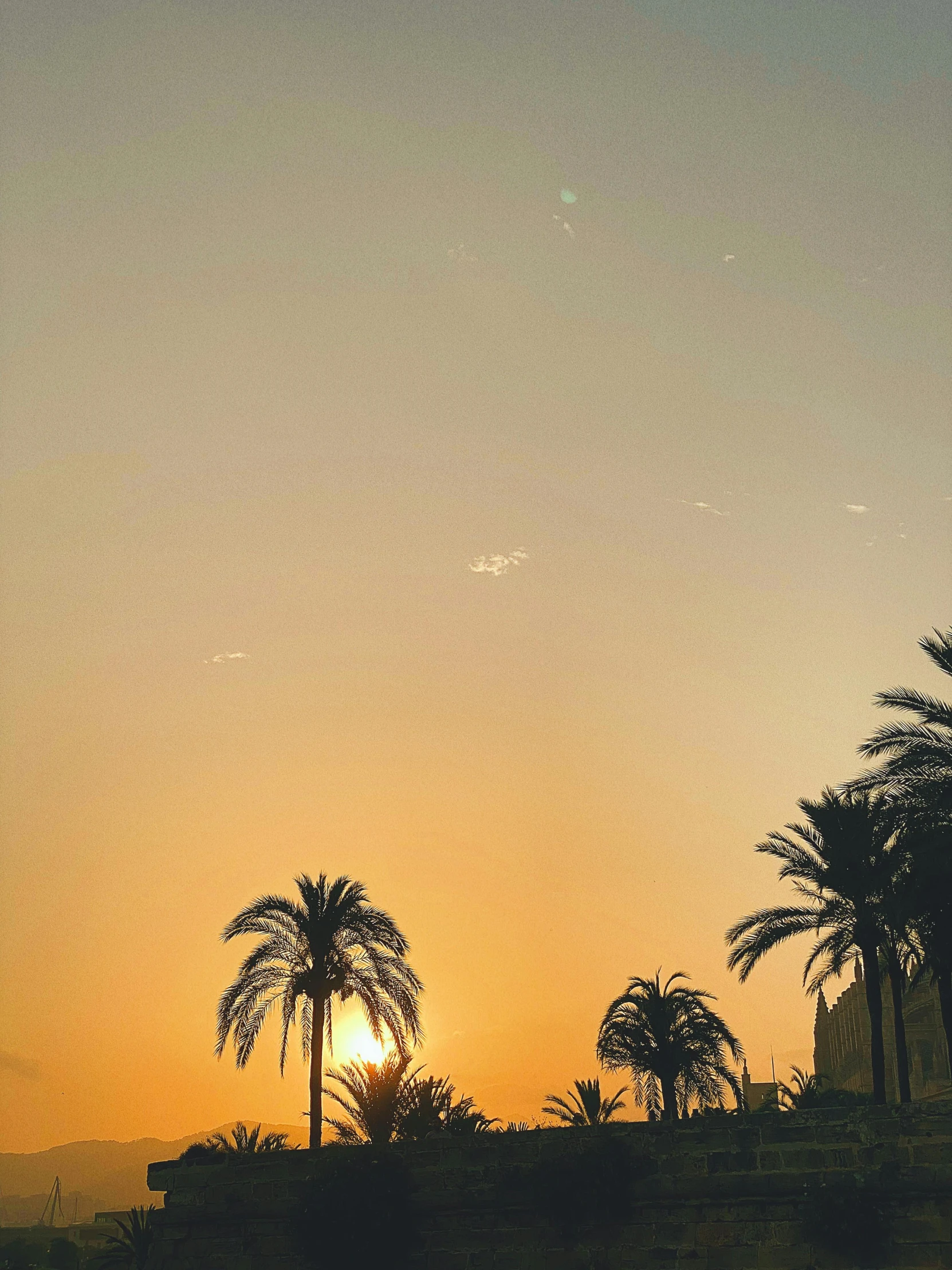 a couple of palm trees sitting on top of a lush green field, a picture, pexels contest winner, aestheticism, city sunset, ☁🌪🌙👩🏾, marbella, golden colors
