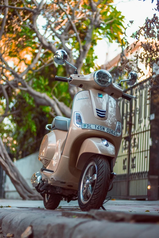 a motor scooter parked on the side of the road, by Sven Erixson, pexels contest winner, renaissance, pearlescent skin, tan, frontal shot, exterior shot