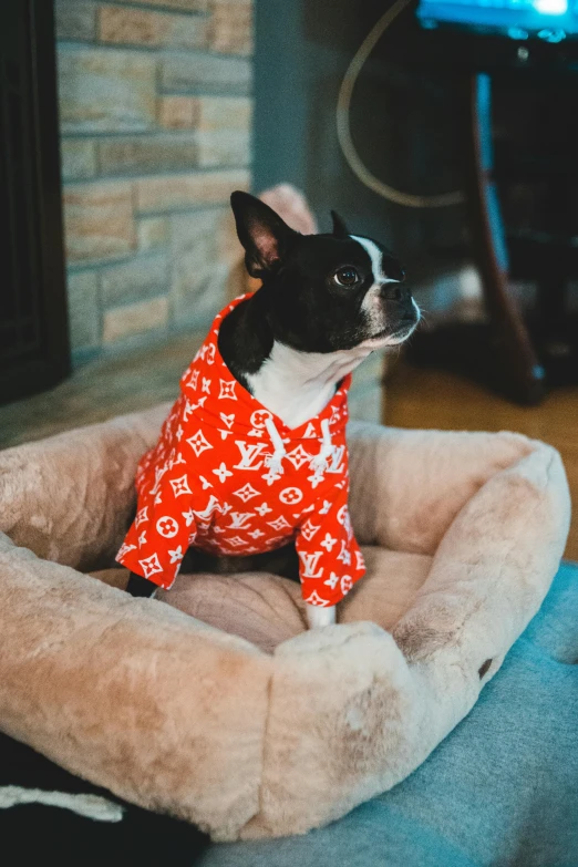 a small dog is sitting in a dog bed, by Julia Pishtar, orange hoodie, trending on r/streetwear, complex pattern, lv