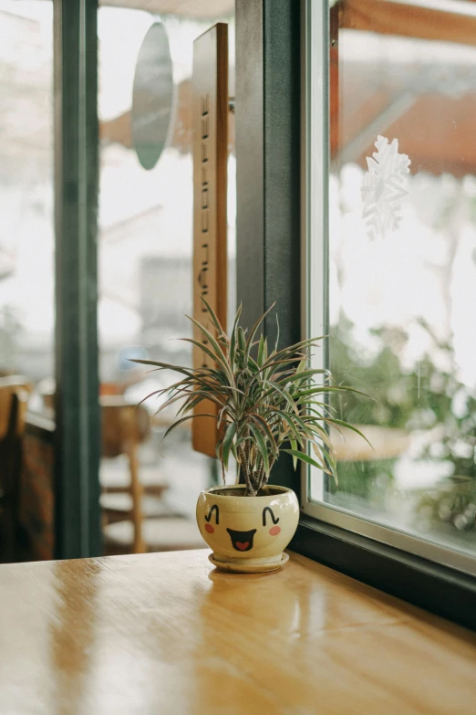 a potted plant sitting on top of a wooden table, a portrait, trending on unsplash, art nouveau, happy smiley, in a bright cafe, single pine, looking through frosted glass