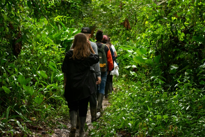 a group of people walking through a lush green forest, sumatraism, avatar image