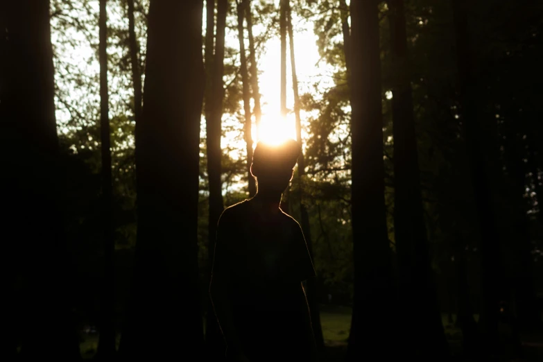 a man standing in the middle of a forest at sunset, an album cover, pexels contest winner, backlit ears, black silhouette, ignant, sun glare