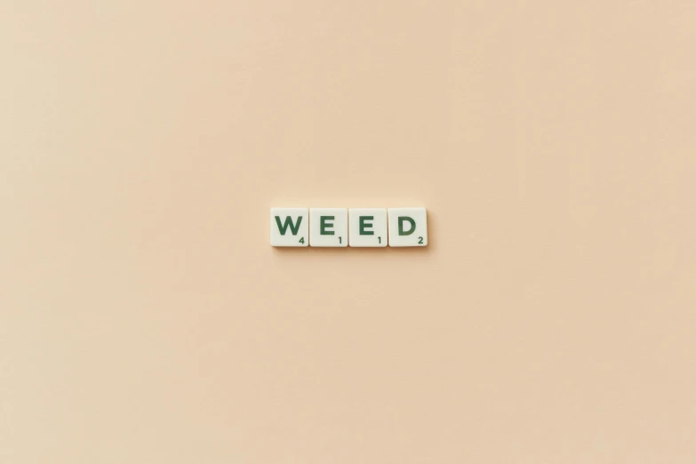 the word weed spelled in scrabbles on a beige background, an album cover, unsplash, marijuana organic painting, poker, home, lifted