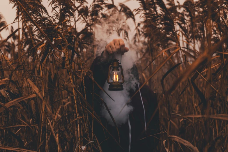 a person holding a lantern in a field of tall grass, pexels contest winner, horror wallpaper aesthetic, holding a small vape, raking light, profile image