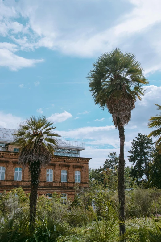 a couple of palm trees in front of a building, unsplash, heidelberg school, botanical garden, multiple stories, shishkin