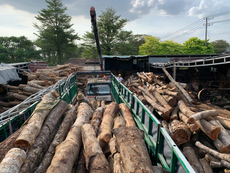 a truck parked next to a pile of logs, profile image, hong soonsang, thumbnail, enormous trees