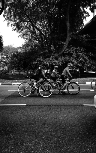 a group of people riding bikes down a street, a black and white photo, unsplash, realism, washington dc, no horns, against the backdrop of trees, profile image