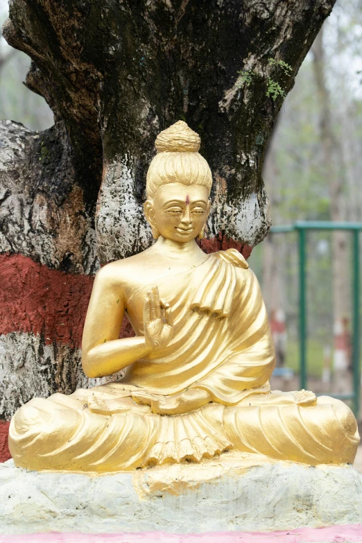 a statue of a buddha sitting under a tree, golden detailing, assam tea garden setting, golden rule, yoga