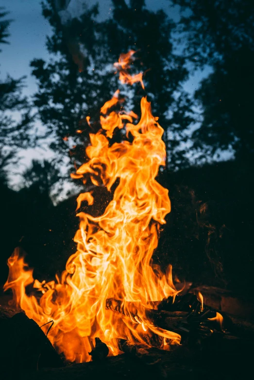 a close up of a fire with trees in the background, pexels contest winner, renaissance, summer setting, tall, on blue fire, fire type