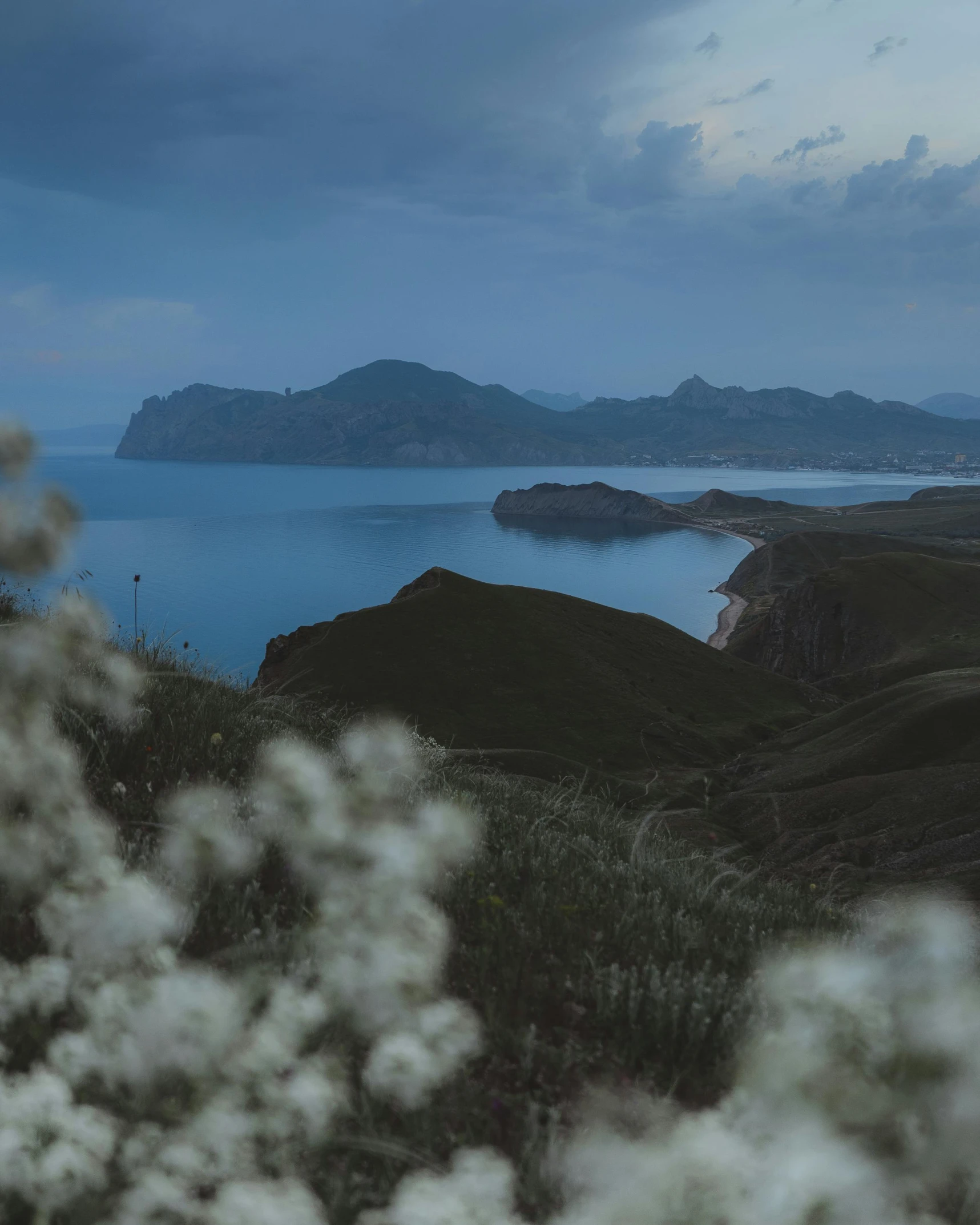 a large body of water sitting on top of a lush green hillside, by Muggur, unsplash contest winner, romanticism, flowers sea rainning everywhere, stormy coast, two medium sized islands, slightly tanned