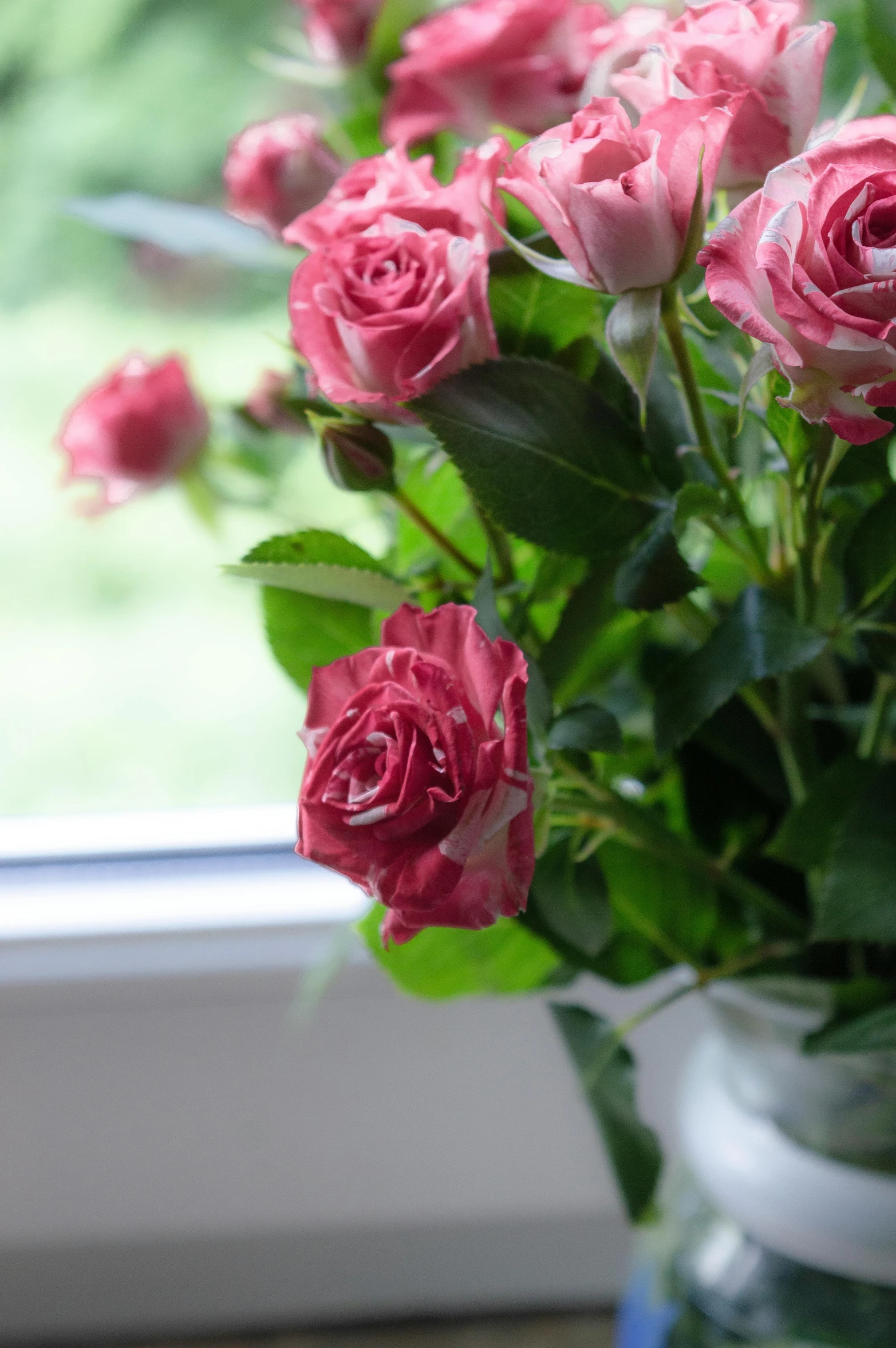 a vase filled with pink roses next to a window, zoomed out view, upclose, stems, award winning