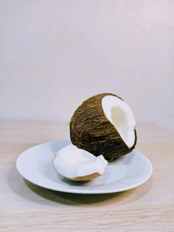 a half eaten coconut on a plate on a table, by Robbie Trevino, natural soft rim light, 千 葉 雄 大, heavily upvoted, seasonal