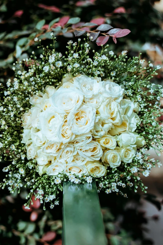 a bouquet of white carnations and baby's breath, a stipple, crown of peach roses, lush surroundings, up close, gleaming white