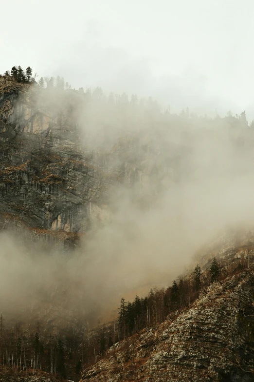 a mountain on a foggy day with trees in the background, by Daren Bader, pexels contest winner, romanticism, devastation, cliffs, brown, detailed smoke